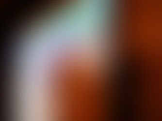 Poster Session at the ANCHISE Final Forum