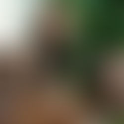 Increase Your Income: Always Seek New Job Opportunities