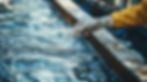 AdobeStock_1246834582.jpeg