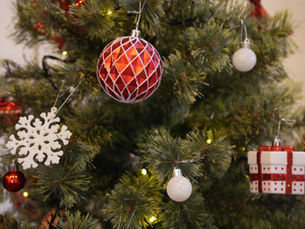 大きなクリスマスツリーのある宿でゆったりしませんか？