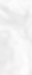 background_edited.png