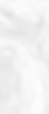 background_edited.png