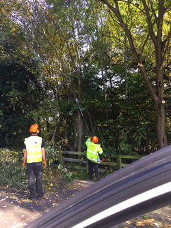 Greenscape working for Lidl