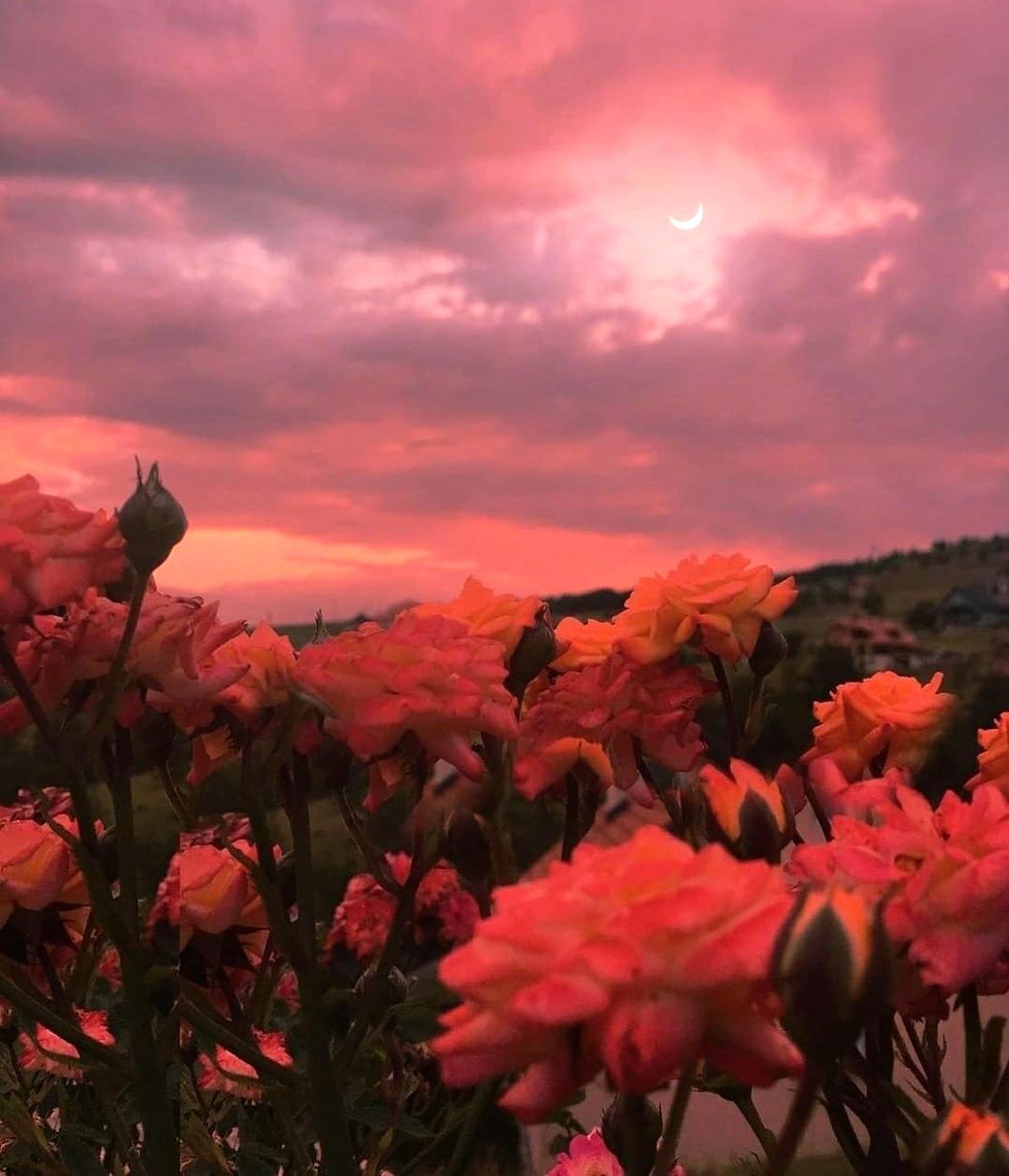 DB5175F5-3CAA-4CBA-91CB-01EFBA26ACDF_edi