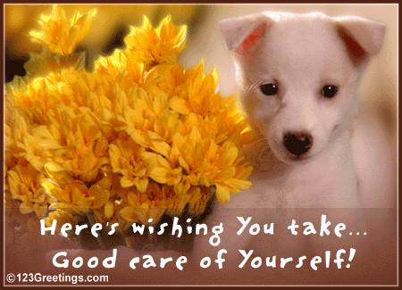 flowers-and-a-puppy.gif