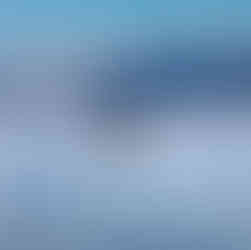 Whale tail in Kaikoura