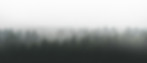 Foggy aerial vieiw of New Zealand South Island forest
