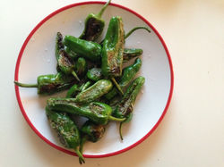 padron peppers