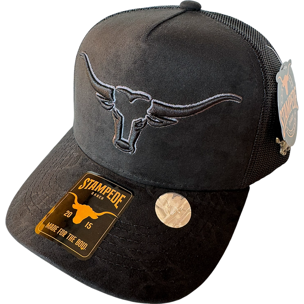 Miniatura: Gorra Trucker Stampede Ranch Big Horns 03
