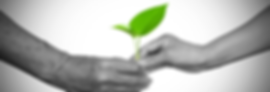 Webp.net-resizeimage (5).png