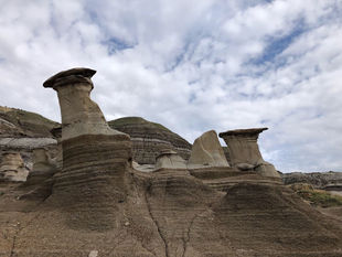 Fossil Hunters! This is not Utah. It's Drumheller