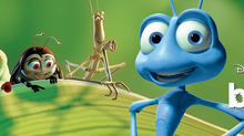A Bug's Life