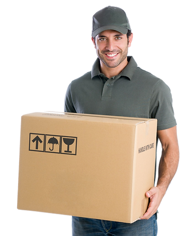 bomba para garrafon, bomba refrigerador, bomba para, flojet