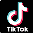 TikTok-Logo.wine.png