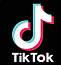 TikTok-Logo.wine.png