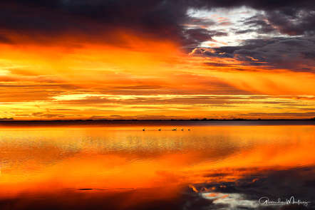 Camargue, Workshop, Pferde, Vogelworkshop, Landschaft,  Frankreich, Pferdefotografie, Pferdefotograf, Saintes Maries de la Mer, 