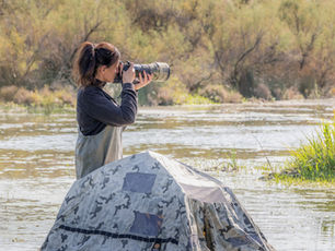 floating Hide Fotografie, Camargue, Vogelfotografie in der Camargue.
