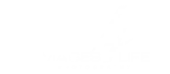 IMAGES4LIFE-LOGO-WHITE-WEB 2.webp
