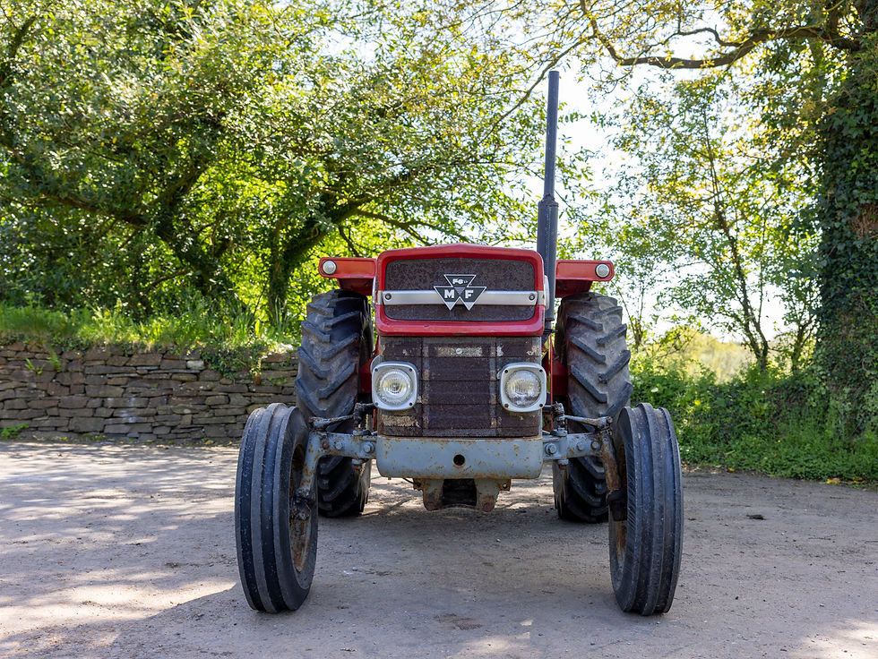 Thumbnail: Massey Ferguson 135