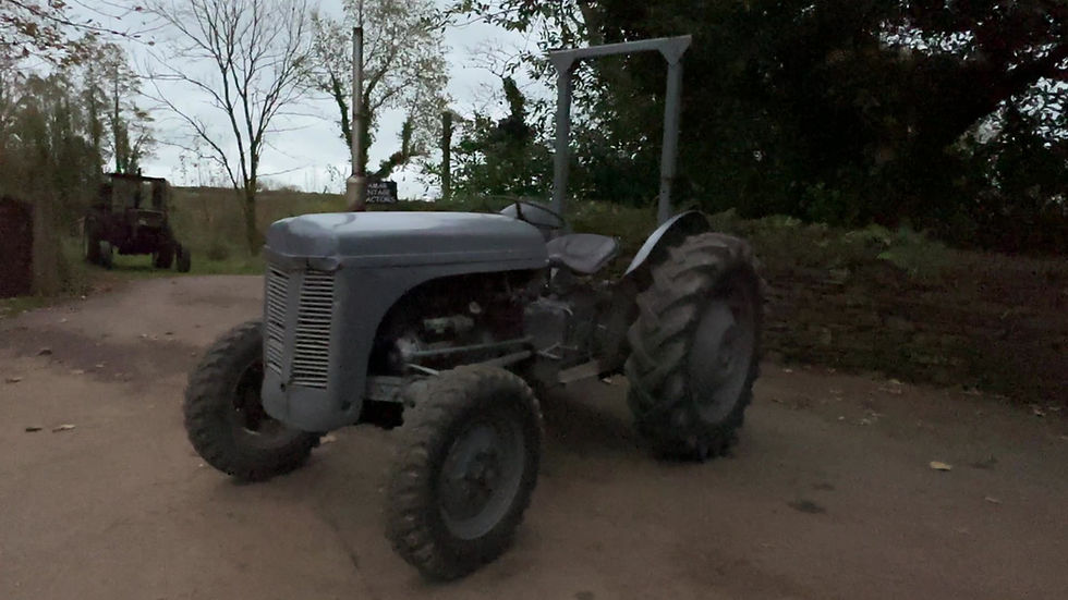 Thumbnail: Ferguson TEF 20