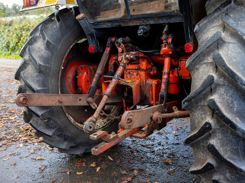 Thumbnail: David Brown 1390