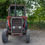 Thumbnail: Massey Ferguson 565
