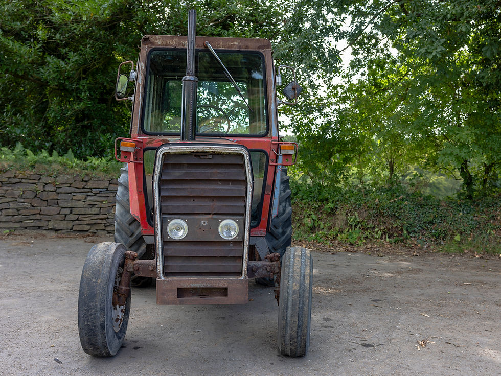 Thumbnail: Massey Ferguson 565