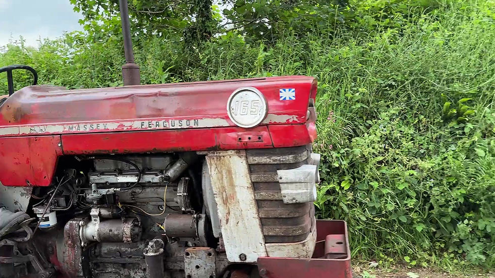Thumbnail: 1966 Massey Ferguson 165