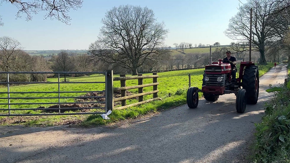 Thumbnail: Massey Ferguson 188
