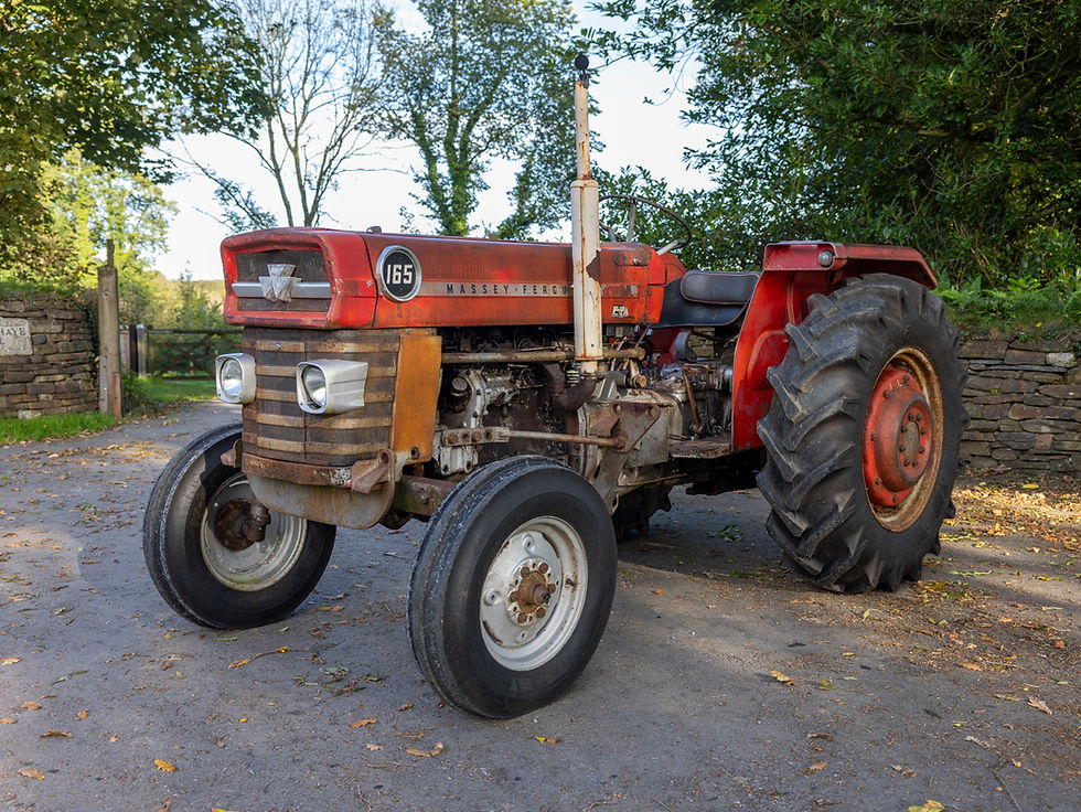 Thumbnail: Massey Ferguson 165