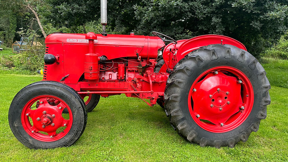 Thumbnail: David Brown 25D