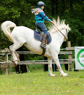 cheval difficile, cheval dangereux, cheval compliqué