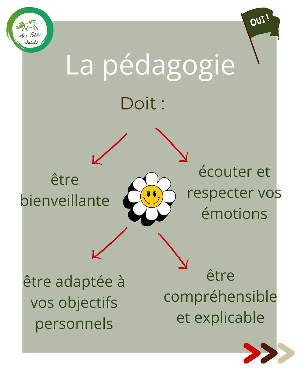 La pédagogie doit être bienveillante, écouter et respecter vos émotions, être adaptée à vos objectifs personnels, être compréhensible et explicable