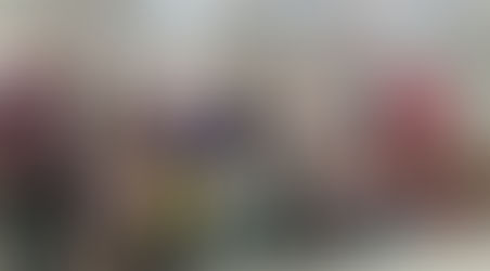 CRSANS define nova coordenação colegiada para 2019