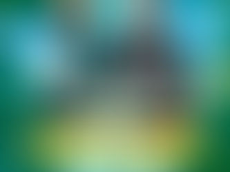 The ICC Champions Trophy: Next Match Betting Guide