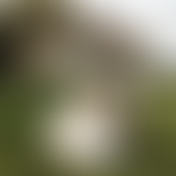 Romantic Cities: Dumfries, Walk Through Words of Love