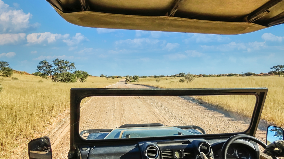 Serengeti April game drive