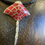 Thumbnail: Sterling silver stingray pendant with red coral necklace