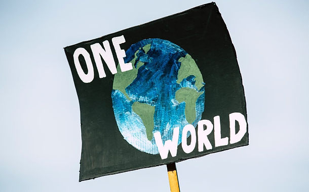 WTO? WTF!