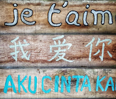 Live a new language