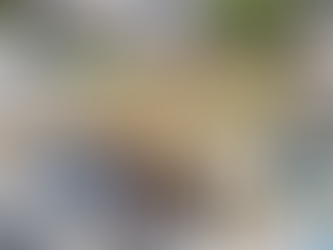 Carpinteros de SOLIDARIDAD