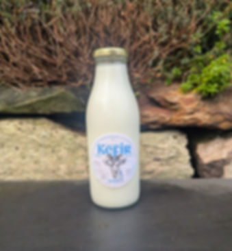 Kefir | Raw Goat Milk Kefir
