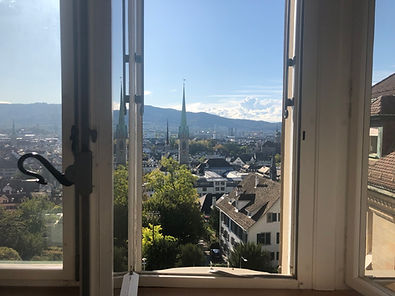 Vis Schweiz II.jpeg