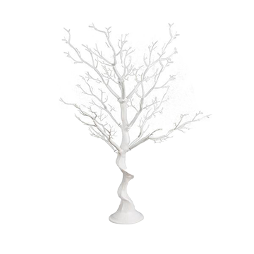 Arbuste