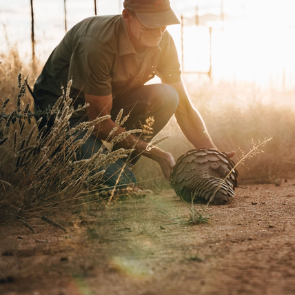 Conservation de la faune Namibienne