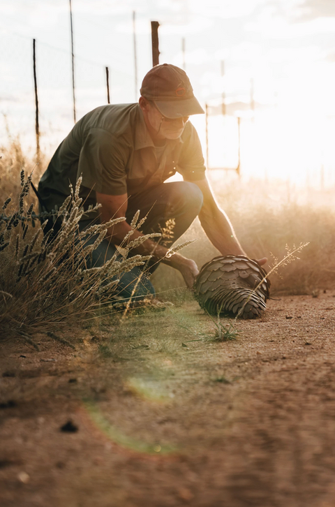 Conservation de la faune Namibienne