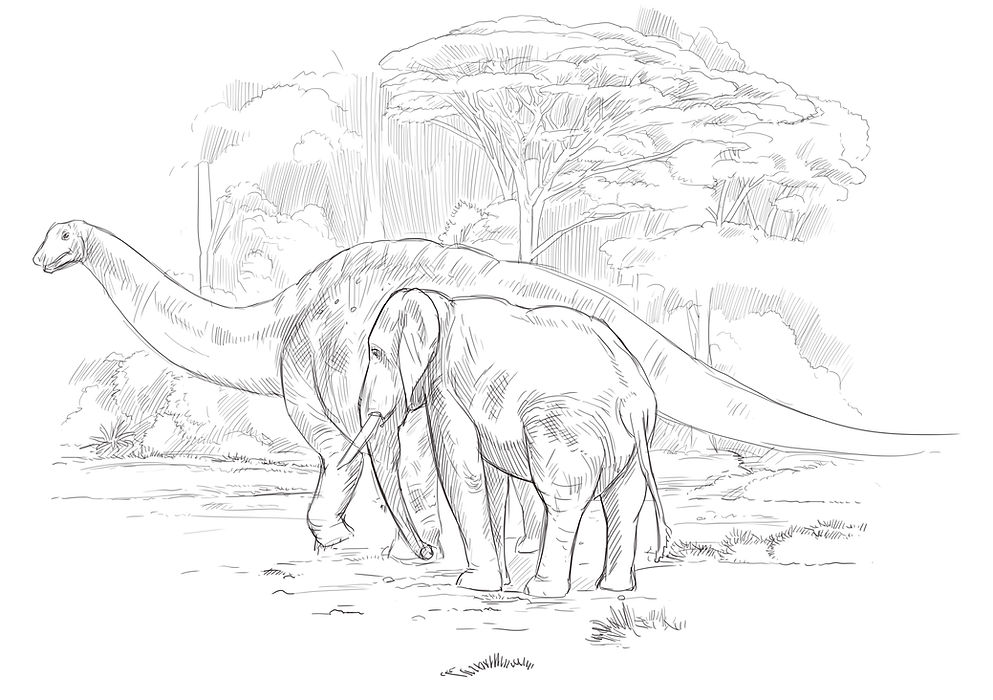 apatoelephcongo.jpg