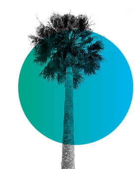 tree3.png