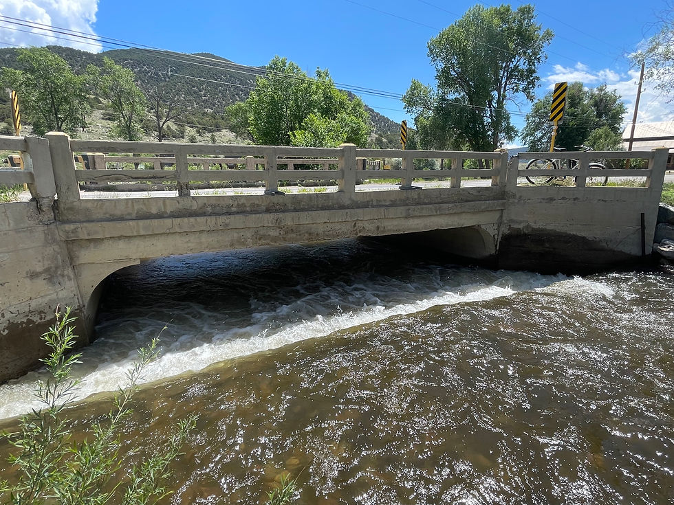 “I can’t jump over that!” Thinking Like A Trout