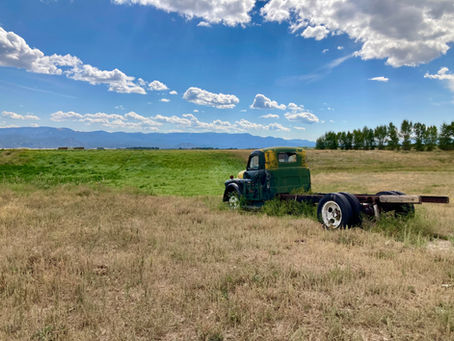 Expanding the Community Conservation Connection